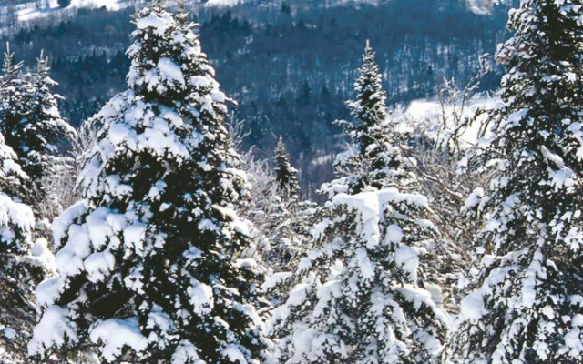 Quality Suites Quebec