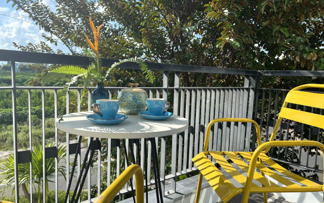 Chez Mimosa Hoi An Blue Villa