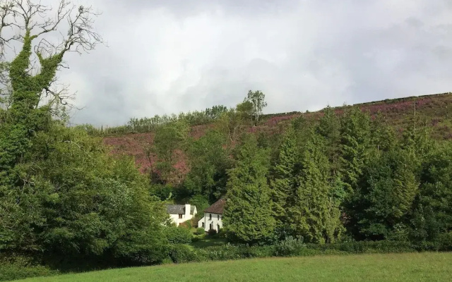 Hedgehog Cottage