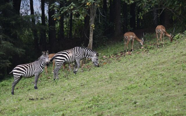 Lake Bunyonyi Eco Resort