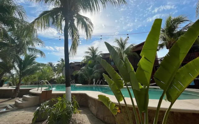 Coconut by ÓOL Hotels