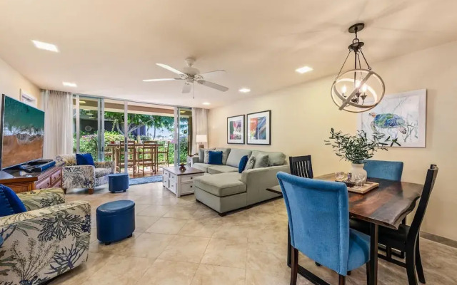 Eldorado E102 in Kaanapali