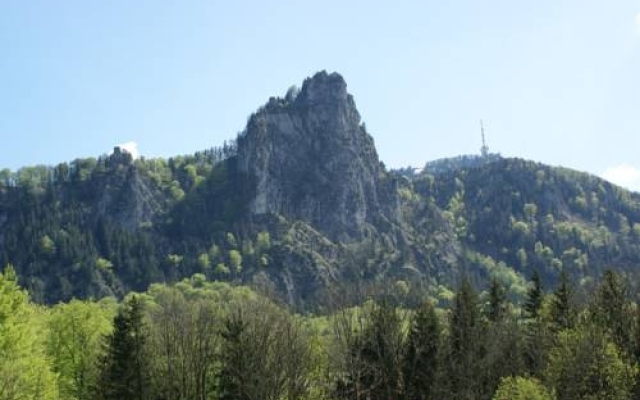 Ferienwohnung Bacher