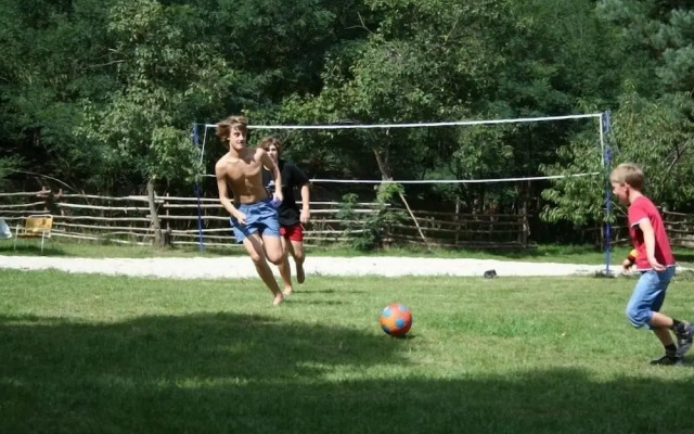 Ferienparadies Waldidylle