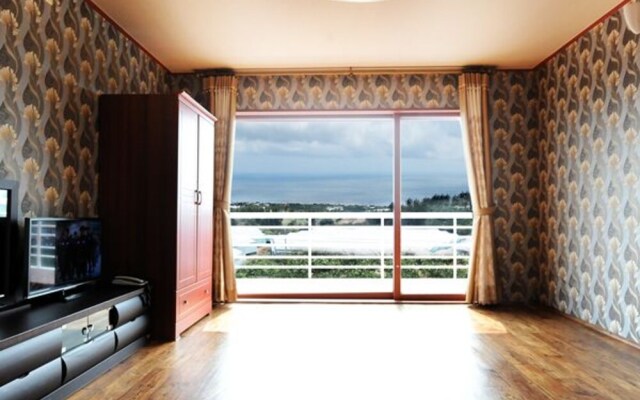 Seogwipo Bluesky Pension