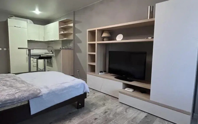 Апартаменты Privi House на улице Льва Толстого 34