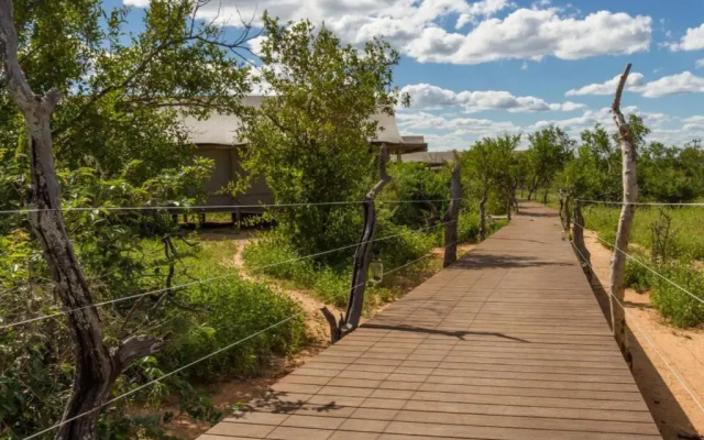 Imagine Africa Luxury Tented Camp