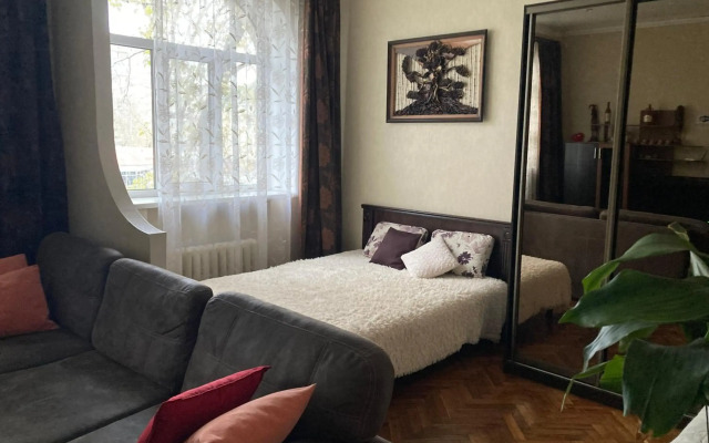 Apartment close to Roshen fountain