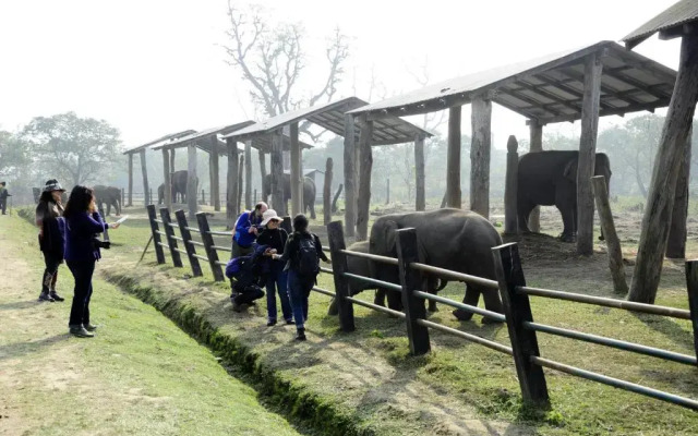 Green Park Chitwan