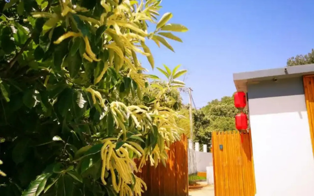 Yiyun RuralResidence ShentangyuFairyTale