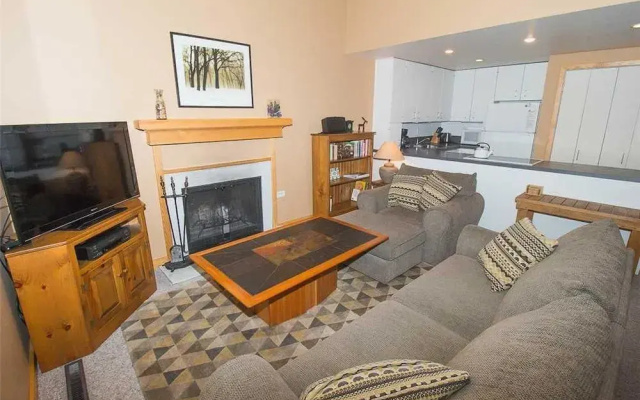 Mt View Lodge Condo 14