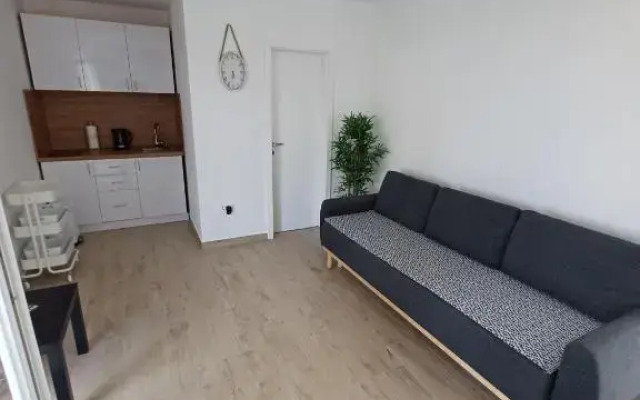 Apartments Sava