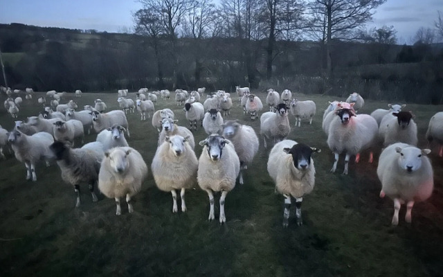 White Haywood Farmhouse