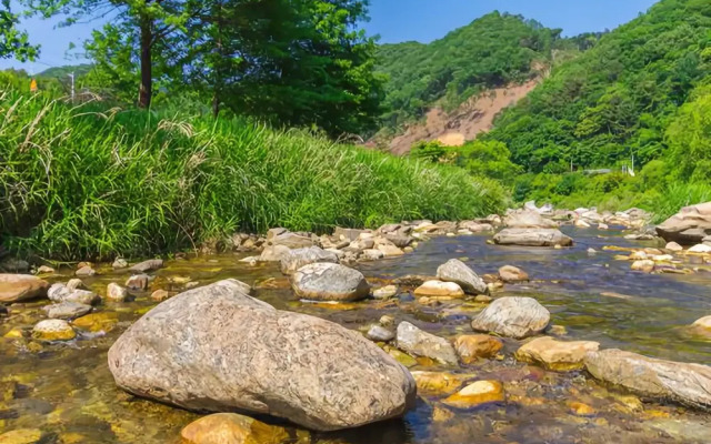 Yangpyeong Anna & Gina Pension