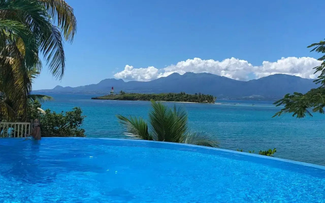 Pelican Paradise