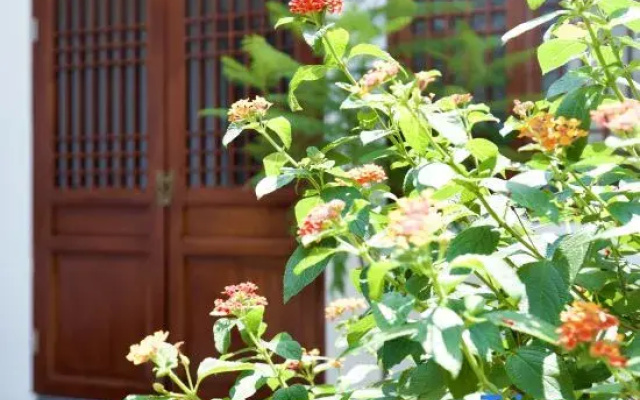 Ruyuan Homestay (Sansuci)