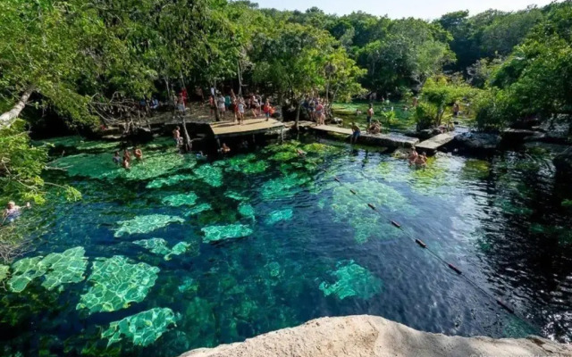 #5 Magnificent Cute Downtown Apartment - Daily/Monthly