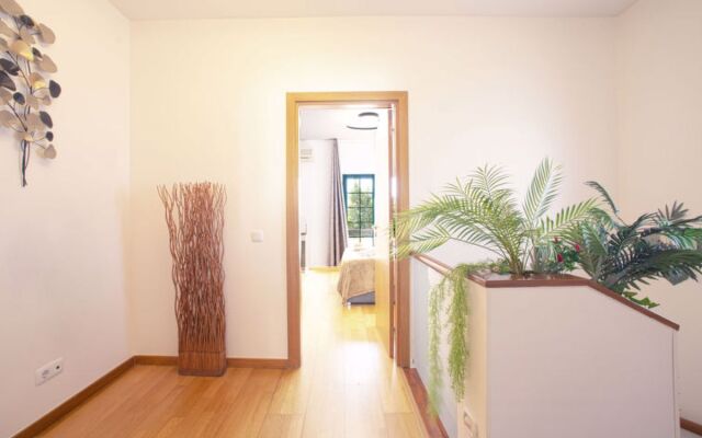 House Verão Ferreiras