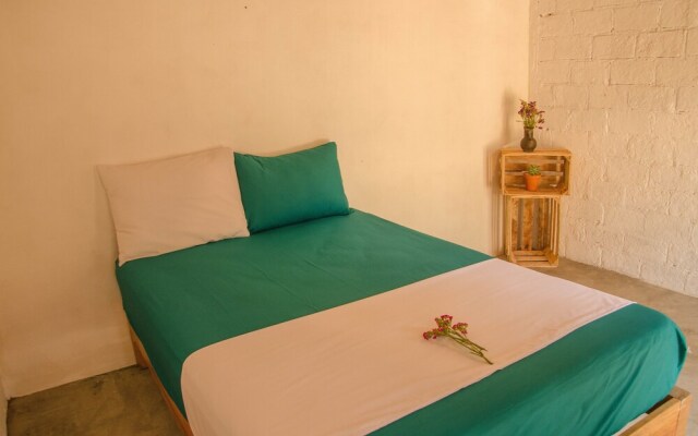 Alebrijes Surf House - Adults Only - Hostel