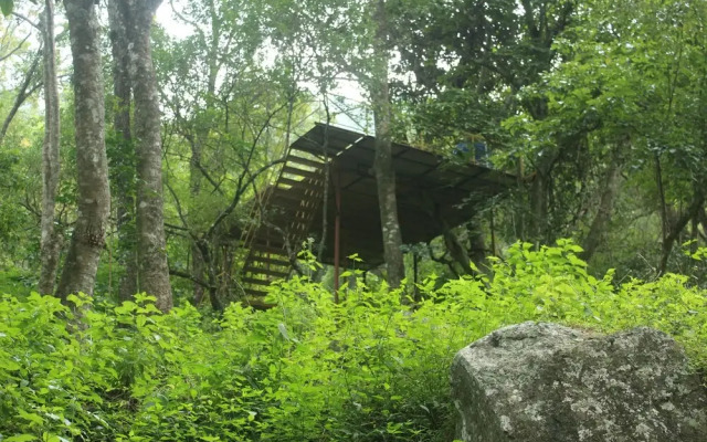 Secret Valley Jungle Resort