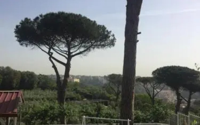 Zia Bi Bed and Breakfast