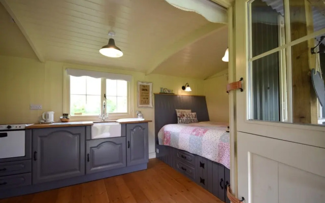 Keepers Cosy, Shepherds Hut , Alresford 491853