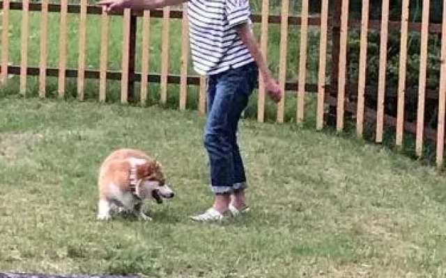 Green Squalle Sekigane