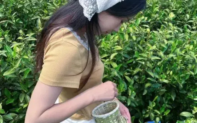 Tea  · Xingzhi Mountain Resort Homestay