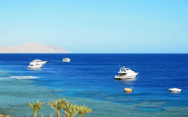 Sharks Bay Oasis