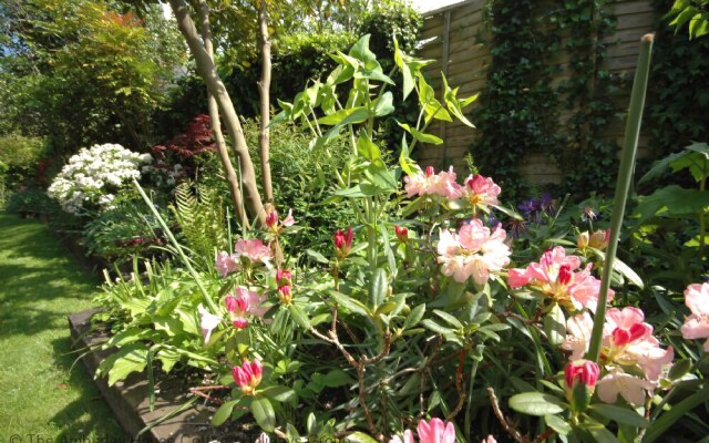 Garden Cottage