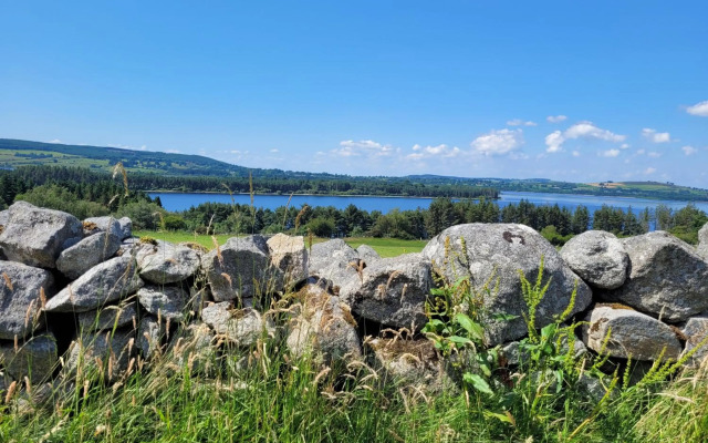 Private room in Dublin
