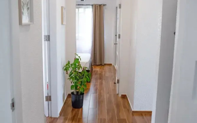 Aila Homestay