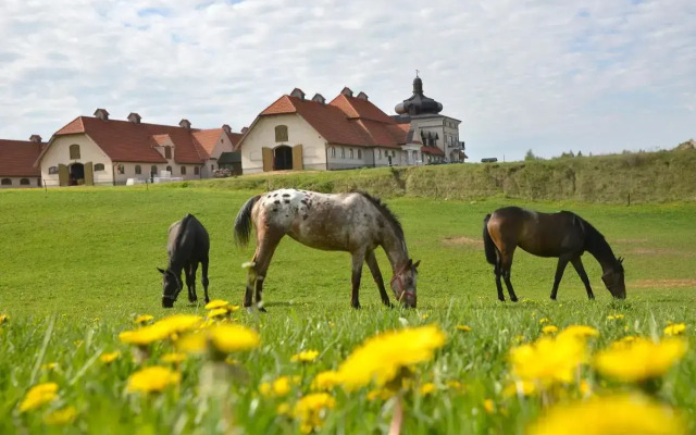 Stadnina Koni Nad Wigrami