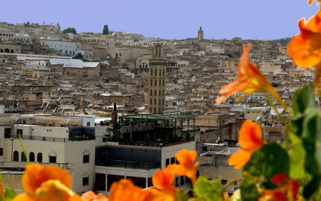 Dar Tazi - Medina View