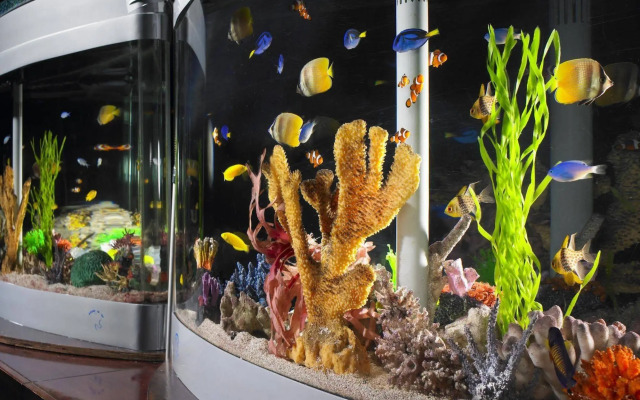 Anaheim Majestic Garden Hotel