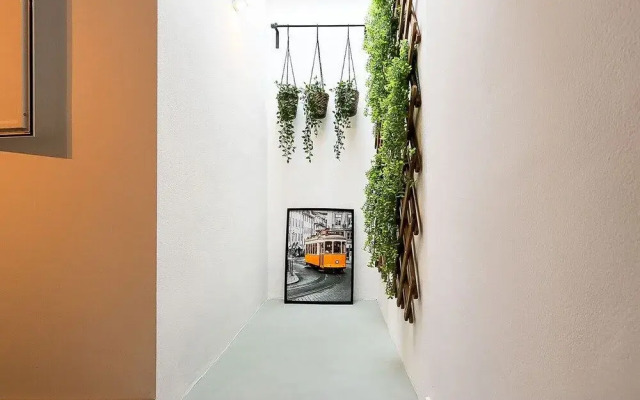 Belem Experience by Homing