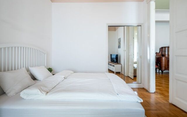 Huge Apartment in the city center