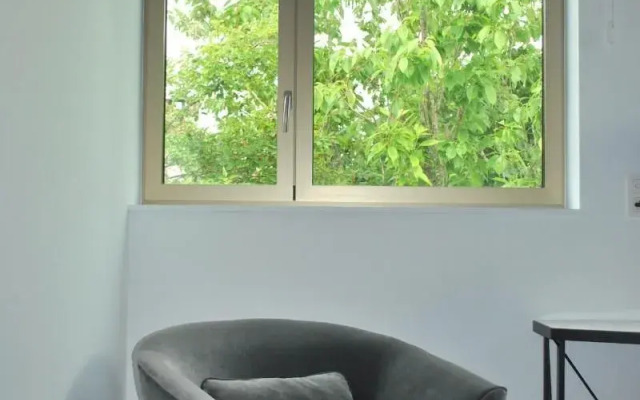 Dimensions M