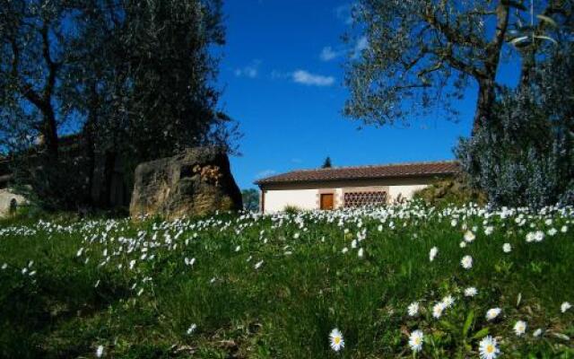 Agriturismo Montegonfoli