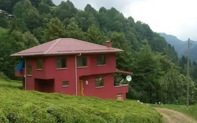 Vice Mini Otel
