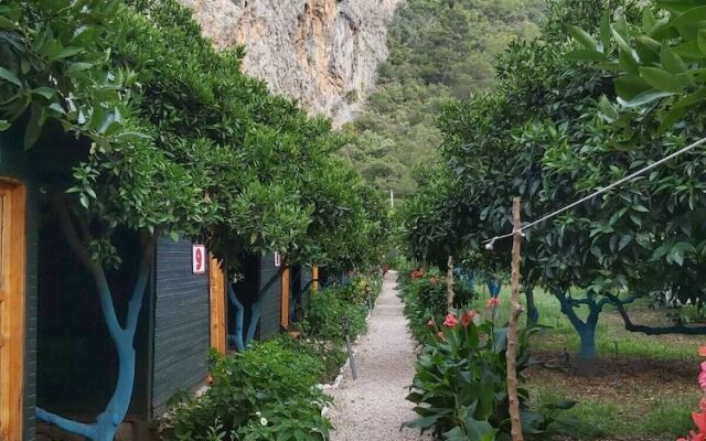 Olympos Tatilya Pansiyon