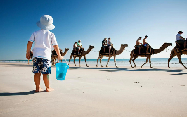 Seashells Broome