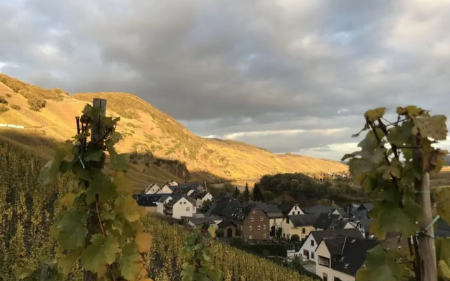 Holiday Home Vinea Comfortable Holiday Residence