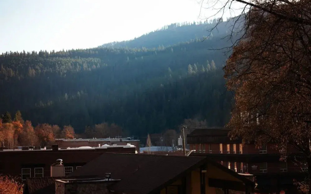 White Pine Motel