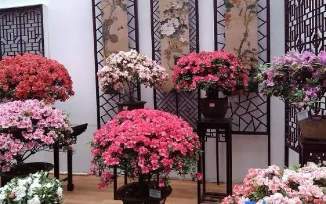 Starlight Hotel(Jinggangshan Railway Station Store)