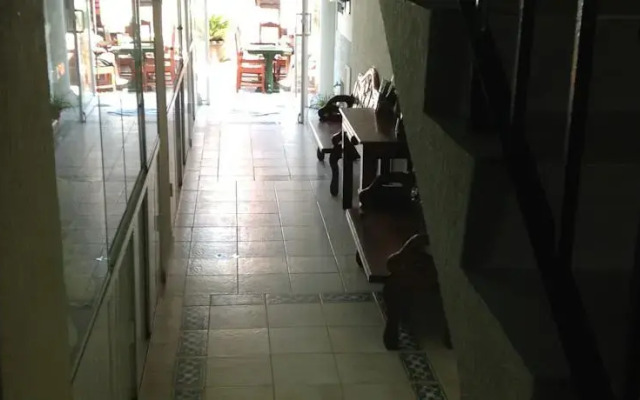 Suites Los Arcos