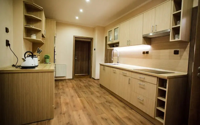 Villa in Moravia With Infrared Sauna