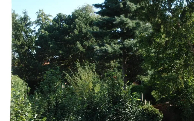 B&B Garden55