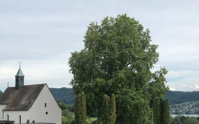 Pleasant Apartment With Terrace