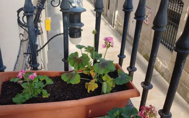 El Bordón De La Casa Batallón